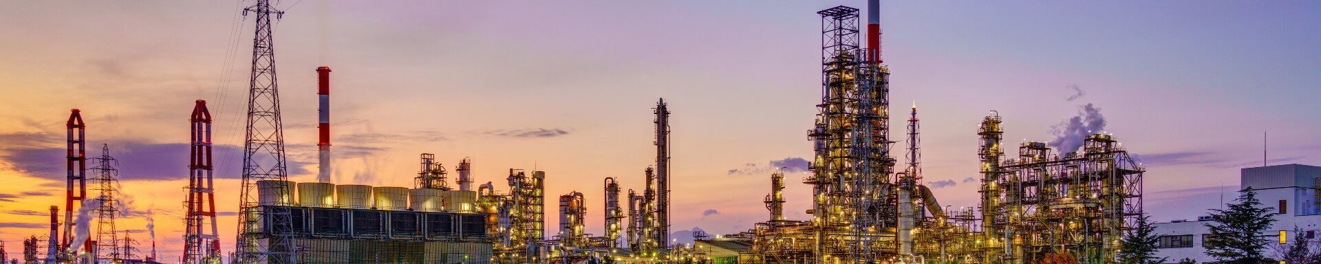 Industrial Plant working with Mongan Painting